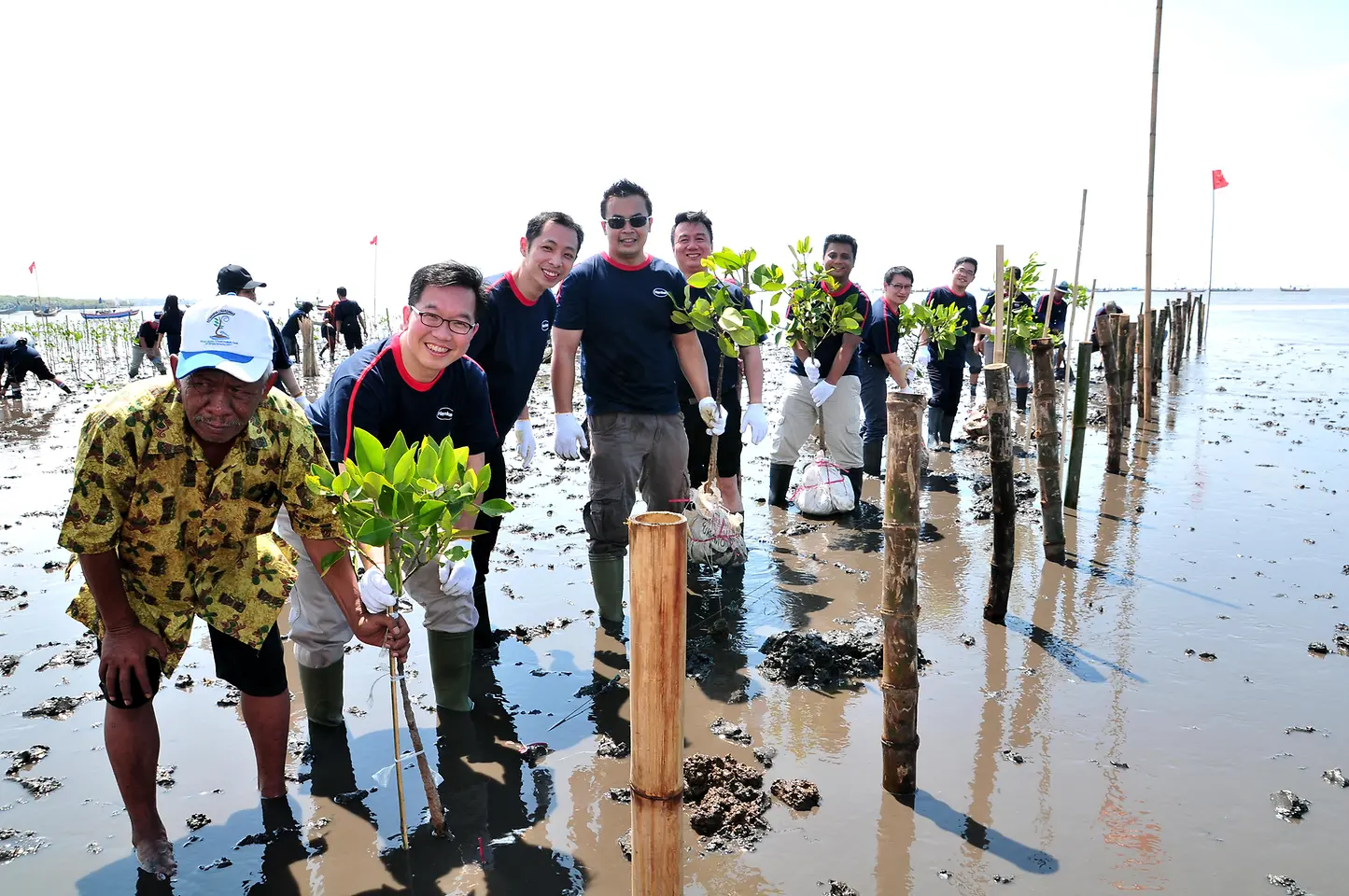 
President of Henkel Indonesia, Allan Yong, with Kalpataru Winner, Bapak Mukarim and Henkel Employees Planting Mangrove in Mangrove Pasuruan Conservation Center